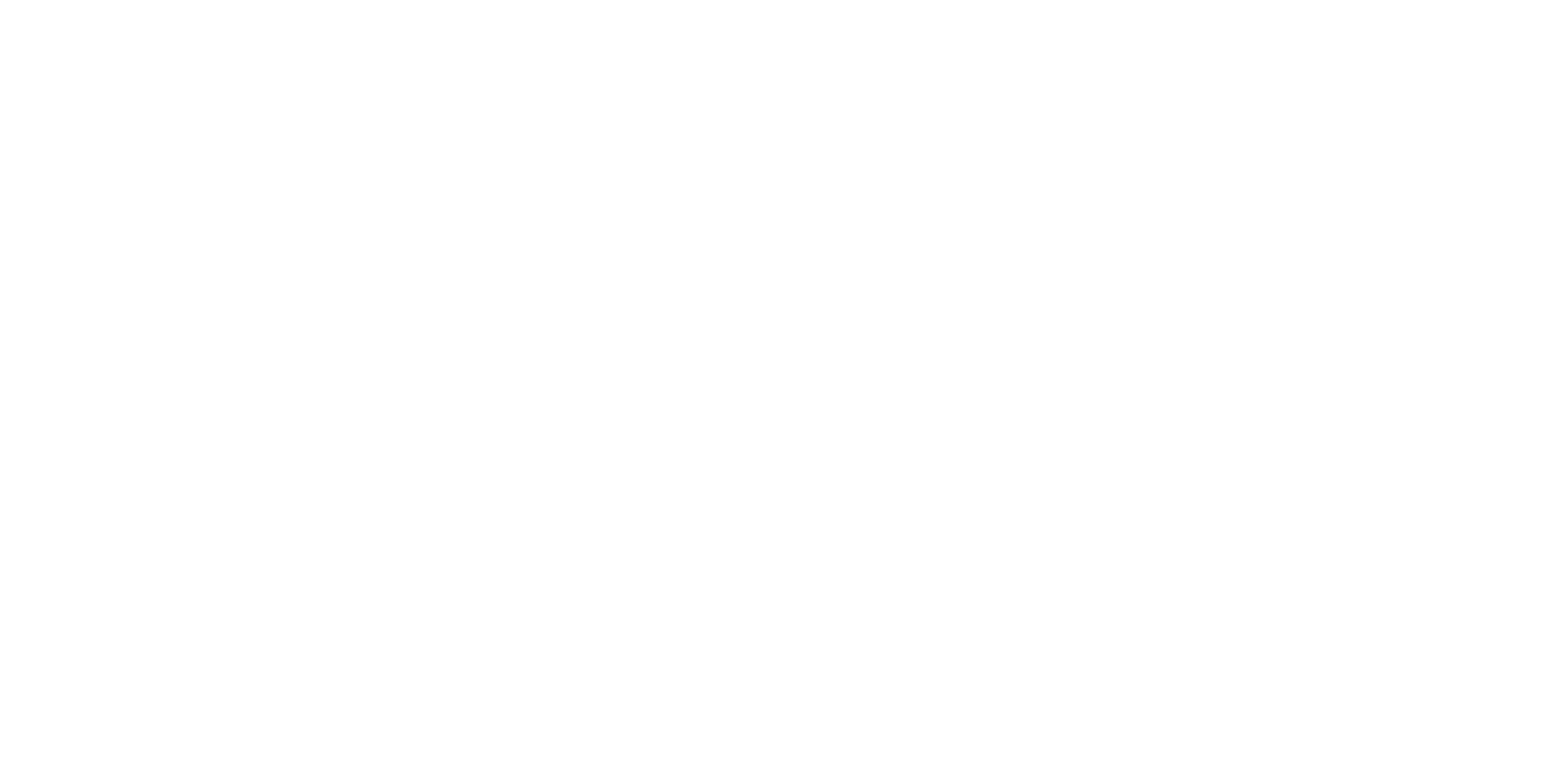 Visionaire Consulting Group